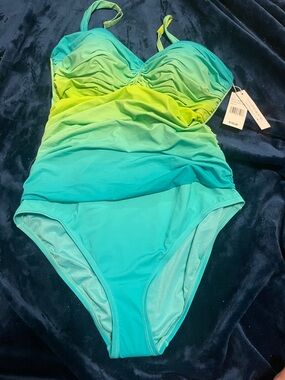 NWT Bleu Rod Beattie Deep Water Ombre Swimsuit